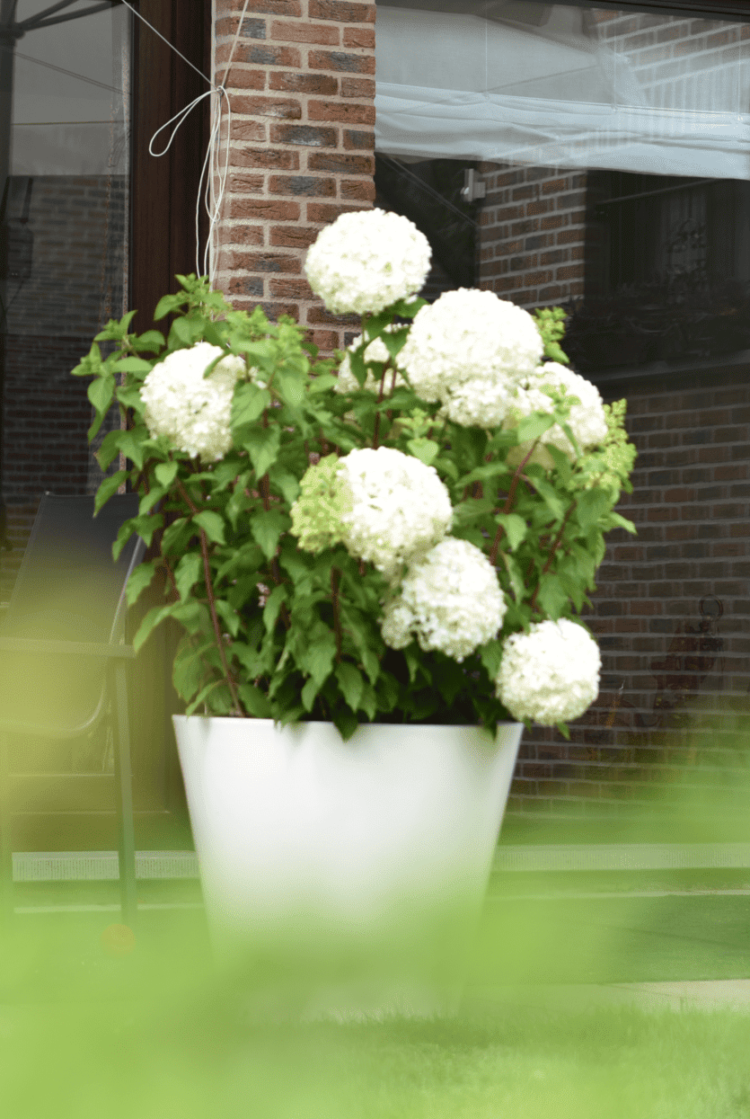 Plantenbak wit 59 x 50 cm (set van twee)