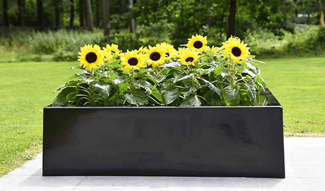 Plantenbak zwart 110 x 110 x 32 cm