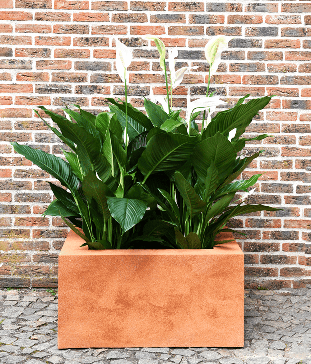 Plantenbak cortenstaal-look 70 x 70 x 35 cm